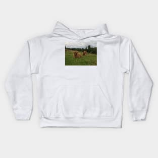 Scottish Highland Cattle Calves 1514 Kids Hoodie